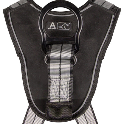 PRO+ Slate Full Body Harness: Alu 3D, Alu QC Chest, TB Legs - Image 7