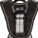 PRO+ Slate Full Body Harness: Alu 1D, Alu QC Chest, TB Legs - Image 7