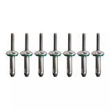 Replacement Rivets