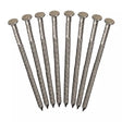 8pc 16D Roofing Nails for FS871