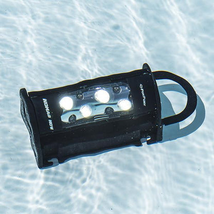 FoxFury, nomad, now, in pool