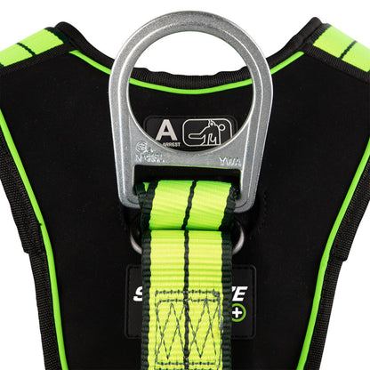 PRO+ Full Body Harness: 3D, QC Chest, TB Legs