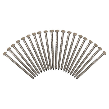 Reusable Roof Anchor, 20pc Nails - Image 4