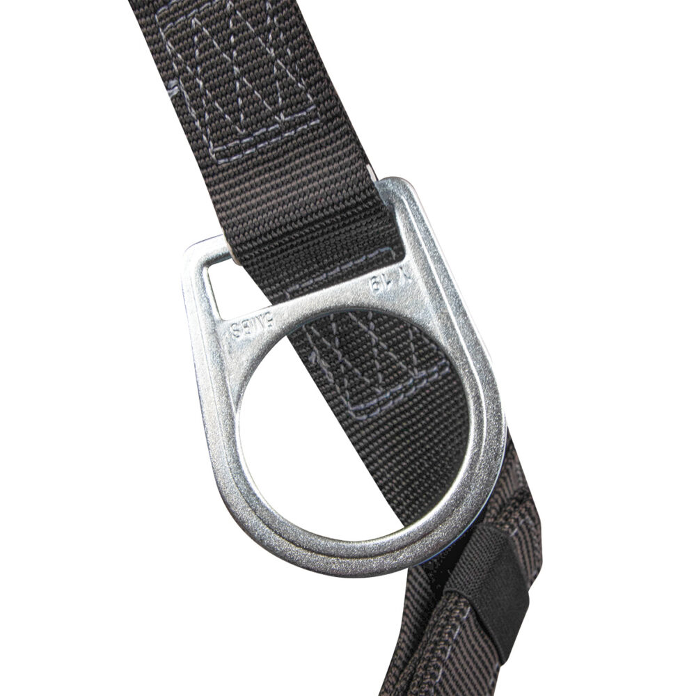 Heavyweight Full Body Harness: 3D, MB Chest, TB Legs - Image 6