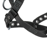 Heavyweight Full Body Harness: 3D, MB Chest, TB Legs - Image 10